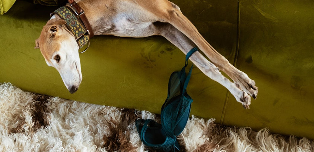 BH Tips voor warm weer: Zo houd je het koel en comfortabel