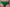 Hipster Chantelle Pulp - Play - Groen - 0FB