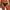 Slip Freya - Tailored - Groen - DPE