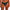 String Freya - Tailored - Groen - DPE