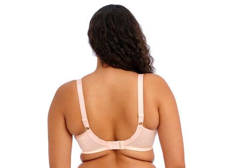 Plunge BH Elomi - Lucie - Rose - PAU