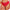 Slip Elomi - Smooth - Rood - HAD