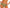 Slip Wacoal - Sensu Lace - Groen - GEN