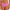 Hipster Freya - Freya Fatale - Rose - CND