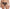 Culotte Chantelle - Vibrate - Noire - 01D