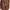 String Chantelle - SoftStretch - Imprimé - 0OZ