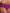 Hipster Chantelle - Monogram - Violette - 0U4
