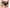 Hipster Chantelle - Alto - Noire - 011