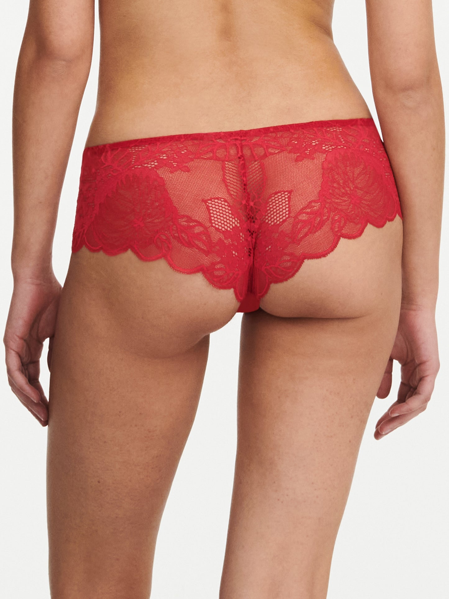 Hipster Chantelle - Midnight Flowers - Rouge - 05W