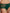 Short Chantelle - Origins - Groen - 00R