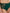 Culotte Chantelle - Origins - Verte - 00R