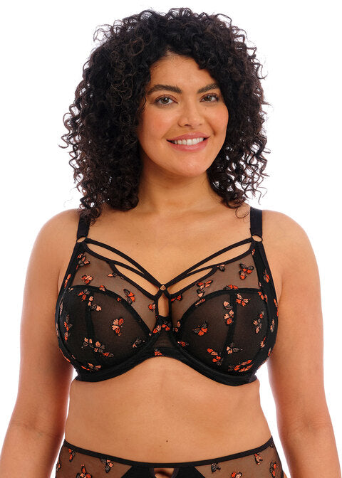 Full cup BH - Elomi - Sachi - Print - BFL