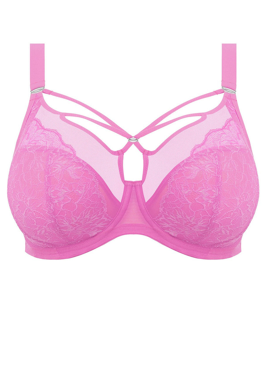 Plunge BH Elomi - Brianna - Rose - VEK
