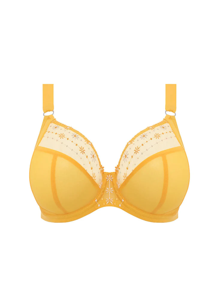 Plunge BH Elomi - Matilda - Geel - DSY