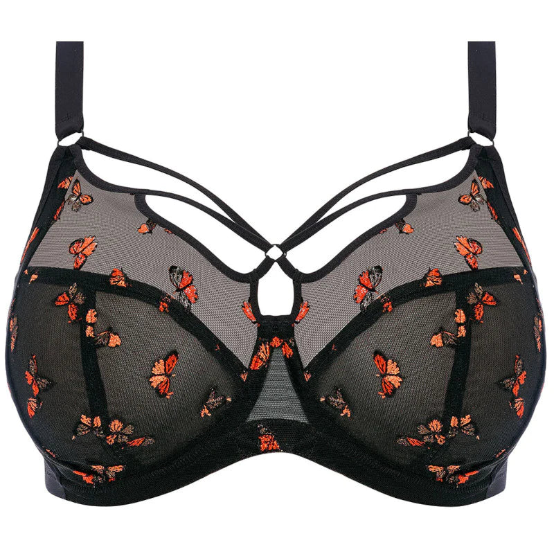 Full cup BH - Elomi - Sachi - Print - BFL