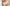 Culotte Lisca - Nikki - Blanche - 01