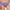 Hipster Passionata - Neela - Paars - 0CG