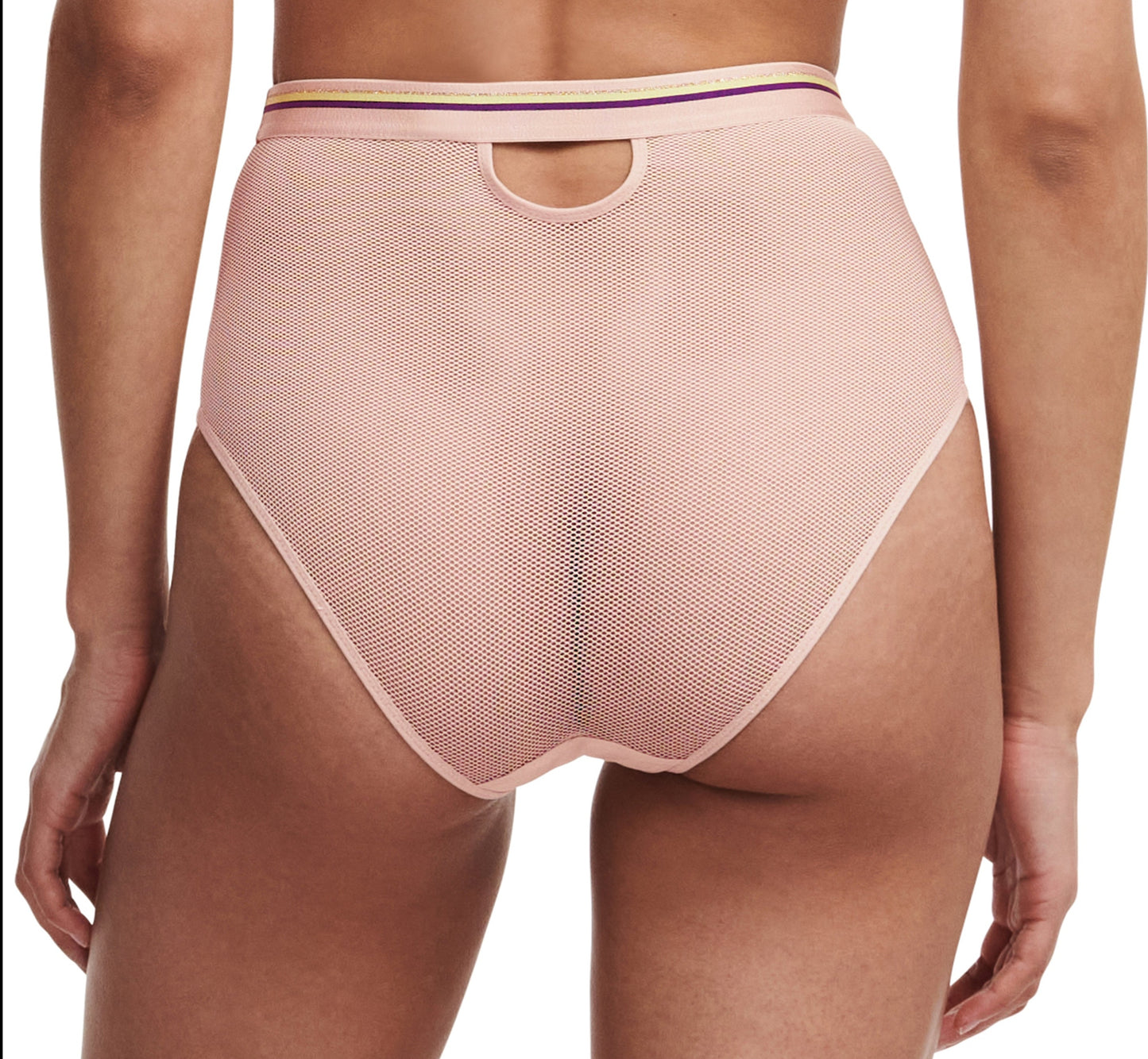 Culotte taille haute Passionata - Paola - Rose - 0RG