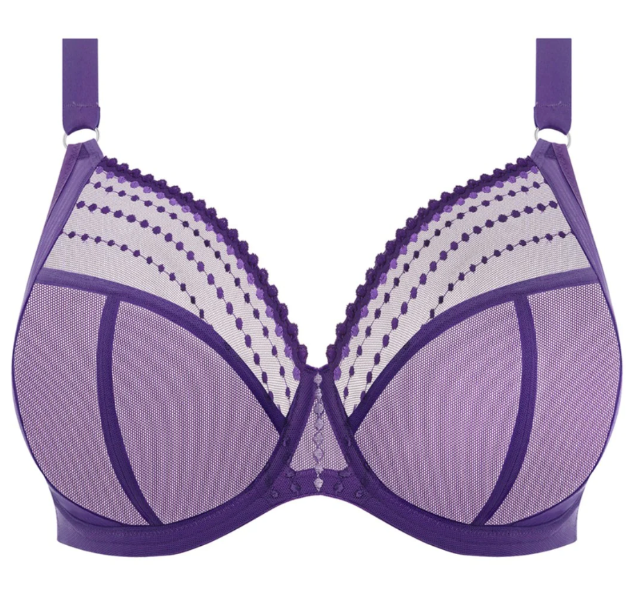 Plunge BH Elomi - Matilda - Paars - IRS