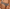 Hipster Chantelle - SoftStretch - Imprimée - 0OZ