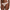 String Passionata - Maddie - Blanc - 010