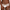 Hipster Passionata - Maddie - Wit - 010