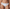 Culotte PrimaDonna Twist - East End - Bleue - HBL