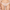 String Passionata - Maddie - Rose - 0RG