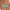 Culotte Lisca - Liv - Bleue - PB