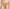 Hipster Chantelle - Softstretch - Marron - 0EX