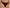 Slip Freya - Snapshot - Zwart - NOR
