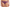 Hipster Chantelle - Orangerie Dream - Bordeaux - 01Y