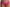 Short Marie Jo - Color Studio - Rose - VEB