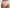Culotte taille haute Marie Jo - Color Studio - Beige - PNE