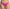 Culotte Marie Jo - Color Studio - Rose - FIE