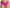 Culotte taille haute Marie Jo - Color Studio - Rose - FIE