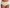 Short Marie Jo - Color Studio - Beige - CAL