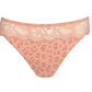String PrimaDonna - Madison - Rose - SWD
