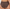 Culotte Lisca - Maya - Marron - 99