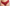 Hipster Passionata - Brooklyn - Rood - 815