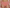 Tailleslip Chantelle EasyFeel - Norah Chic - Rose - 038