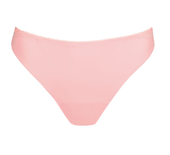 String PrimaDonna - Montara - Rose - PPF