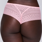 String PrimaDonna - Montara - Rose - PPF