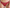Culotte Lisca - Honey - Rouge - BR