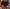 Culotte taille haute Chantelle - Comfort Chic - Noire - 11