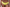 Hipster Chantelle Pulp - Play - Geel - 0SS