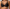 Plunge BH PrimaDonna Twist - Zipolite - Zwart - ZWA