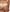 Hipster - Passionata - Naïs - Beige - 097