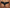 Hipster - Passionata - Naïs - Noire - 011