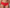 Hipster PrimaDonna Twist - First Night - Rood - PDA